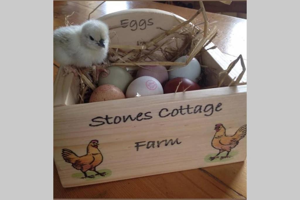 Stones Cottage Farm, Nr Haworth, Family Friendly, Work Friendly, Gaming Barn, Crafting, Free Wifi, Free Parking, Ev Point Oxenhope Luaran gambar
